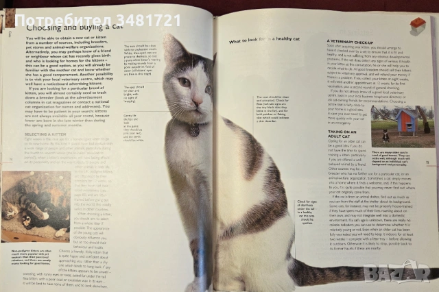 Енциклопедия за домашни любимци / The Hamlyn Family Pet Care Encyclopedia, снимка 7 - Енциклопедии, справочници - 54167821