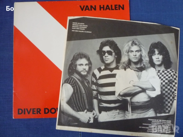 грамофонни плочи Van Halen, снимка 18 - Грамофонни плочи - 31598910