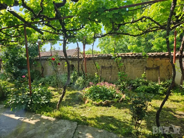 Продавам без Агенции! Две къщи в общ парцел. с. Борец.30км.от Пловдив, снимка 4 - Къщи - 50405102