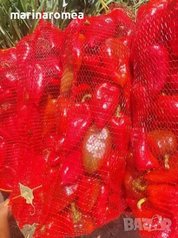 Гаци за пипер (чували за пипер), снимка 9 - Други - 55891482