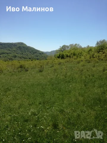 продавам два имота в село Лакатник , снимка 3 - Земеделска земя - 55769447