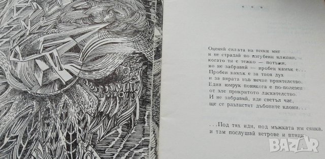 Нежни изстрели - Тенко Тенев, снимка 4 - Художествена литература - 40441647