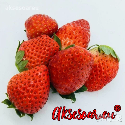 100 бр. семена от гигантска ягода градинско плодово растение сладки и вкусни червени отлични ягоди , снимка 7 - Сортови семена и луковици - 50619358