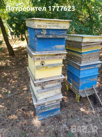 Сандъци за кошери