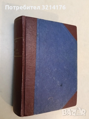 Дневник на Микеланджело-Лудия - Роландо Кристофанели, снимка 2 - Специализирана литература - 53107905