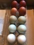 Разноцветни домашни яйца от различни породи кокошки за консумация и люпене, снимка 2