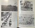Hungry Ghosts. China's Secret Famine, снимка 6