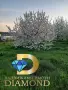 Черешова градина в село Узунджово, обл. Хасково, снимка 8