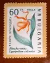 Български пощенски марки с цветя. Серия "Пазете природата". 1960 г., снимка 6