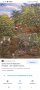 Маслена картина-В градината(В саду)художник-Орлик Леонтий Иванович 1936 - 2012 г., снимка 15