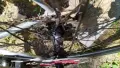 Bombtrack Audax, снимка 4