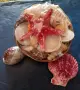Кошница с екзотични раковини +още 2 броя. , снимка 6
