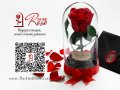 Романтичен Подарък за Жена / ЕСТЕСТВЕНА Вечна Роза в Стъкленица / Подарък за Годишнина от Сватбата, снимка 3