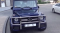 Булбар за Mercedes w463 G-Class, снимка 1
