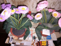 лилаво и розово цветя в малка кашпа 23 см., снимка 1 - Декорация за дома - 44650308