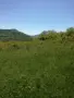 продавам два имота в село Лакатник , снимка 3