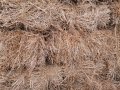 Бали пшеничена слама , снимка 1