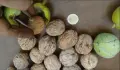  МЛЕЧНИ ОРЕХИ София, Овча Купел , снимка 1