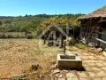 Къща с голям двор и плевник в с. Конак, 20 км от Попово, снимка 8