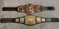 WWE Spiner Championship , снимка 4