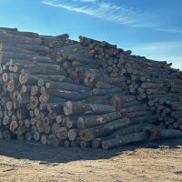 Дървени колове от акация и дърва за огрев , снимка 5 - Други стоки за дома - 11413654