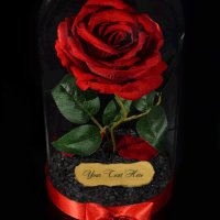 Вечна роза в ГОЛЯМА стъкленица - Оригинален подарък за жена / Уникален Подарък за Годишнина, снимка 4 - Декорация за дома - 30843510