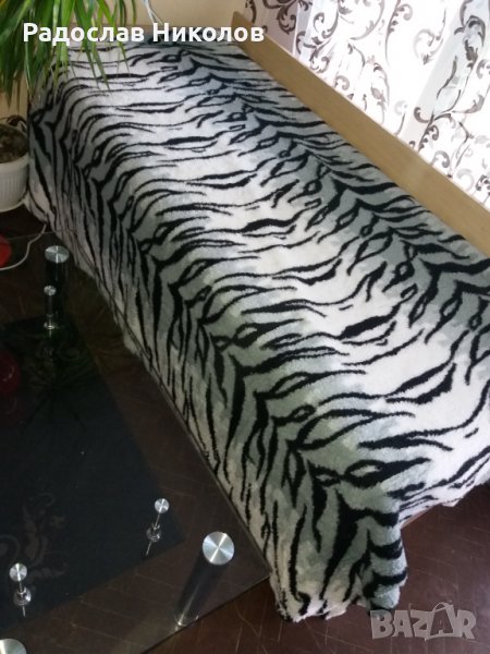 Тигров губер 2бр., снимка 1