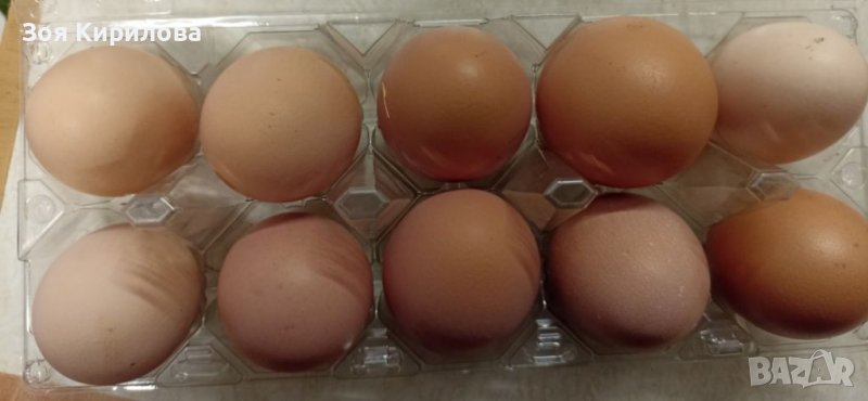 Домашни био яйца, снимка 1