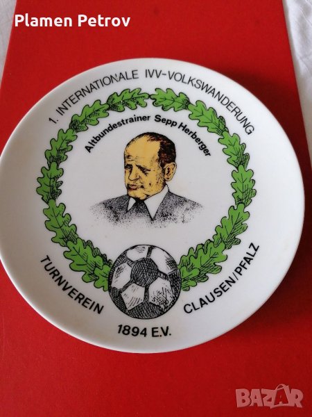 Колекционерска чиния , снимка 1