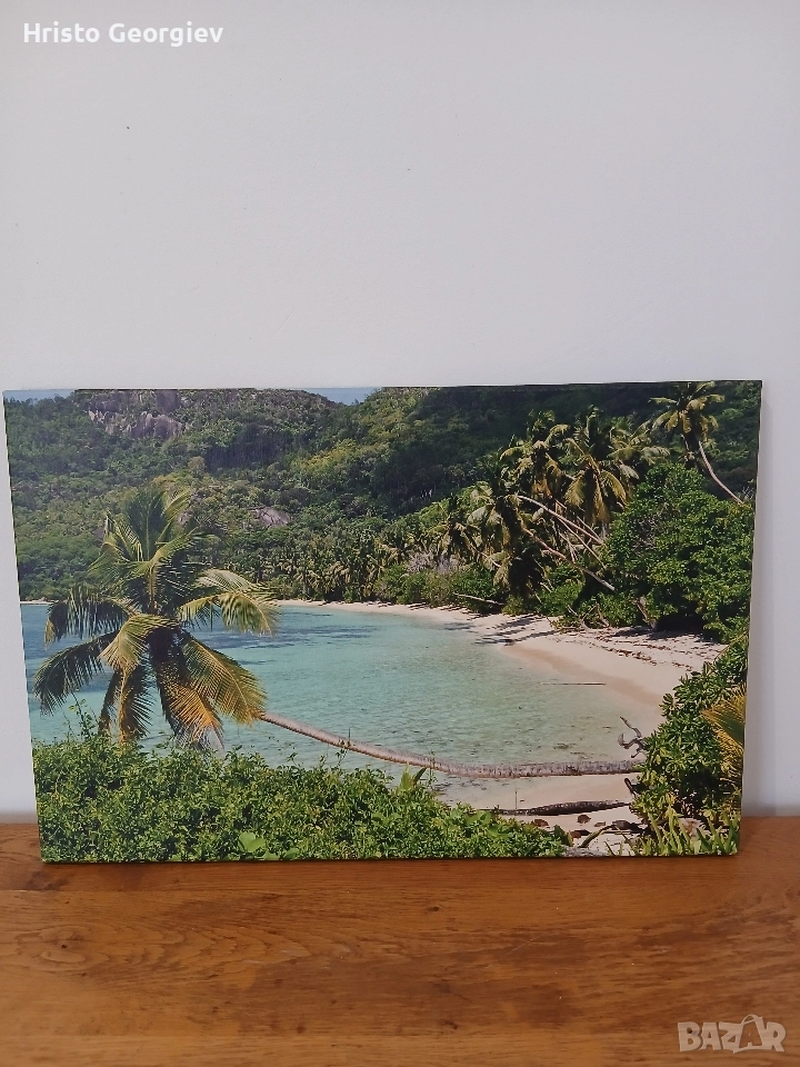 Снимка Картина Сейшели, снимка 1