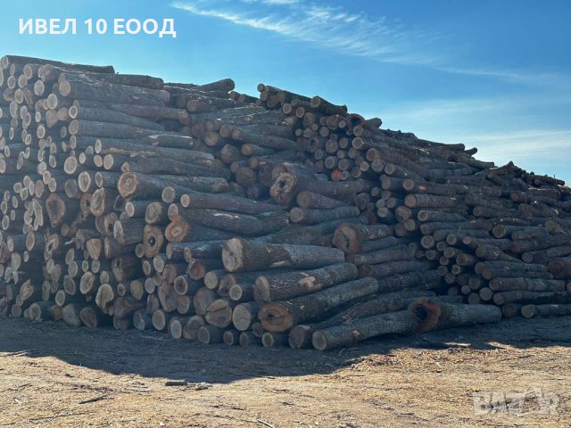 Дървени колове от акация и дърва за огрев , снимка 5 - Други стоки за дома - 11413654