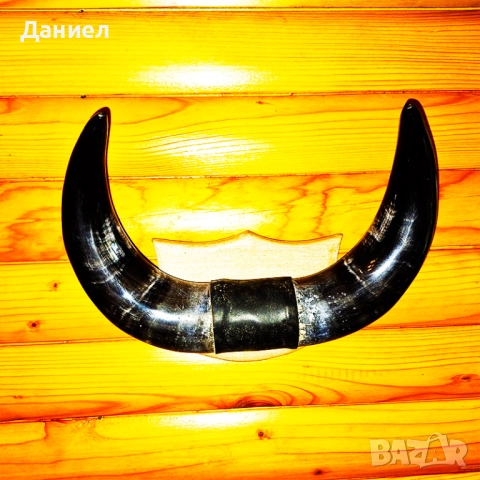Декорация от рога на воден бивол, снимка 10 - Декорация за дома - 52028966