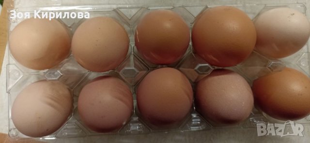 Домашни био яйца, снимка 1 - Домашни продукти - 39976205