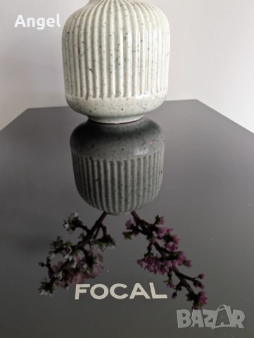 Focal Aria 948 // Dark Ebony // КАТО НОВИ, снимка 3 - Тонколони - 51383576