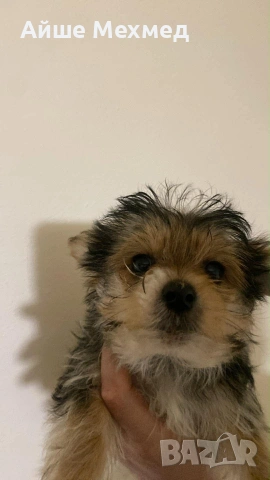 здравейте да ви представям моите три посоки две момчета и миедна щура мацка