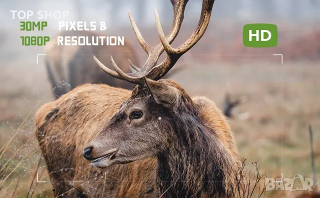 Ловна камера CEYOMUR CY50 с карта 32 GB и АДАПТЕР, снимка 5 - Стръв и захранки - 48491358