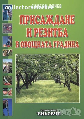 Присаждане и резитба в овощната градина