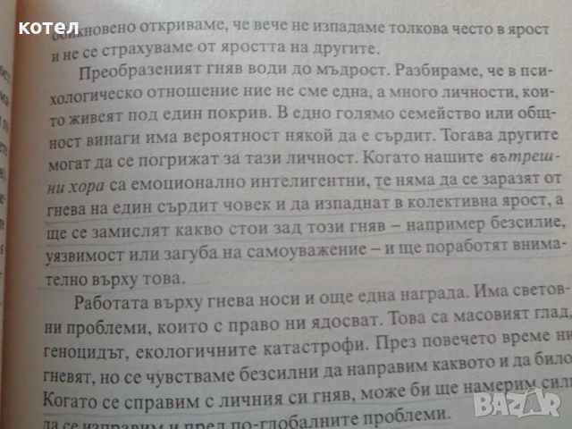 Интелигентните емоции. Нова психология на чувствата, снимка 4 - Енциклопедии, справочници - 50855885