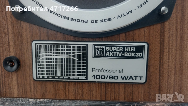 Grundig Super Hi-fi Active Box 30 Professional 100/80 Watt, снимка 3 - Тонколони - 53207644