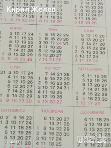 Старо календарче 89г. серия цветя за КОЛЕКЦИЯ ДЕКОРАЦИЯ 42048, снимка 5 - Колекции - 51217288