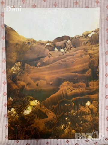 БОНО ШКОДРОВ (1935 - 2015), снимка 2 - Картини - 52827078