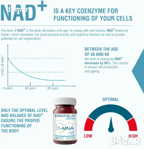 Endotelio Brain 1-MNA, Анти-ейджинг, снимка 4 - Хранителни добавки - 49813079