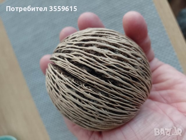 естествени дървени топки от Шри Ланка, снимка 1