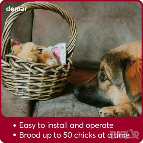 Инфрачервена нагревателна лампа Neviland с 250W нагревателна крушка, превключвател за мощност, снимка 4 - Други стоки за животни - 49885940