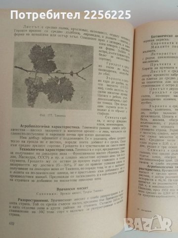 Лозарство, снимка 8 - Специализирана литература - 51124468