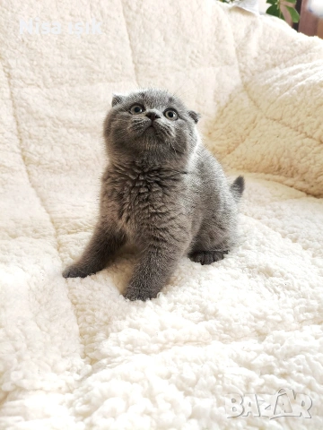 момче уникално не е красив уникален е в хасково сме