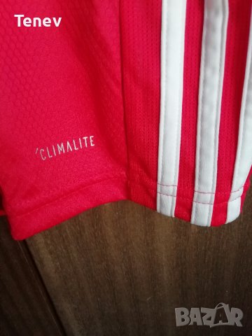 Benfica Adidas Нова Оригинална Футболна Тениска Фланелка M, снимка 8 - Тениски - 39701418
