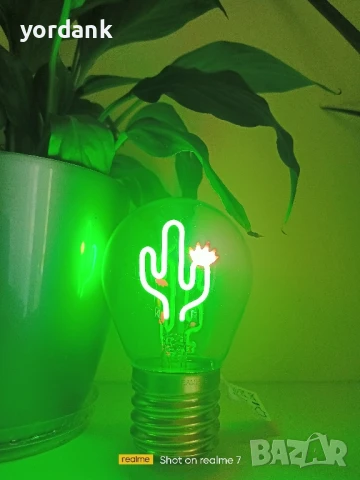 Bulb fiction Cactus лед филаментна акумулаторна крушка кактус, снимка 6 - Декорация за дома - 51192698