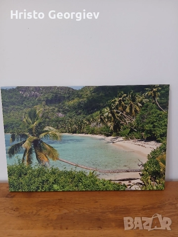 Снимка Картина Сейшели