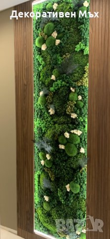 Дълъг декоративен плосък стабилизиран скандинавски естествен мъх, снимка 6 - Декорация за дома - 38501989